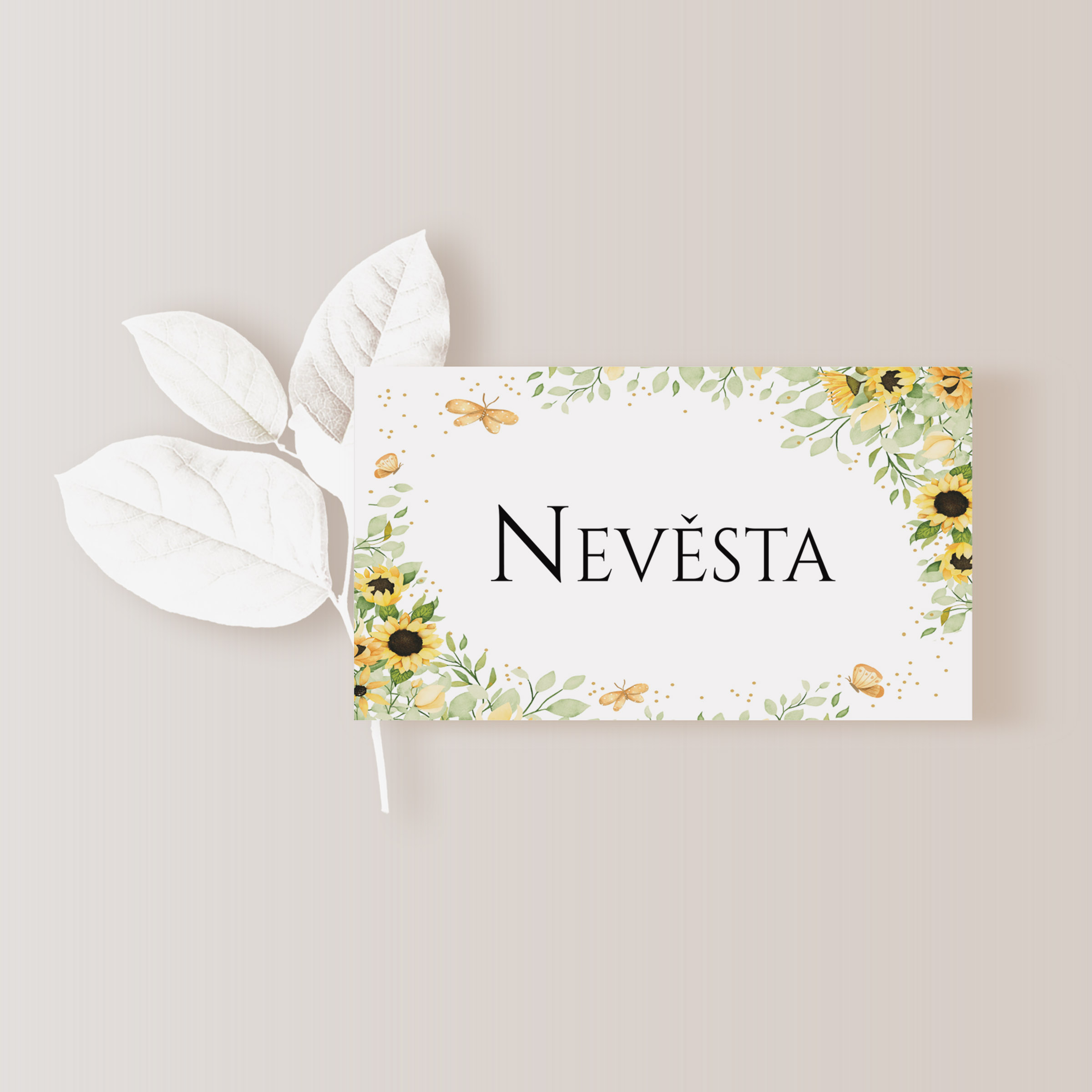 Jmenovky | Kartičky 10 x 5cm