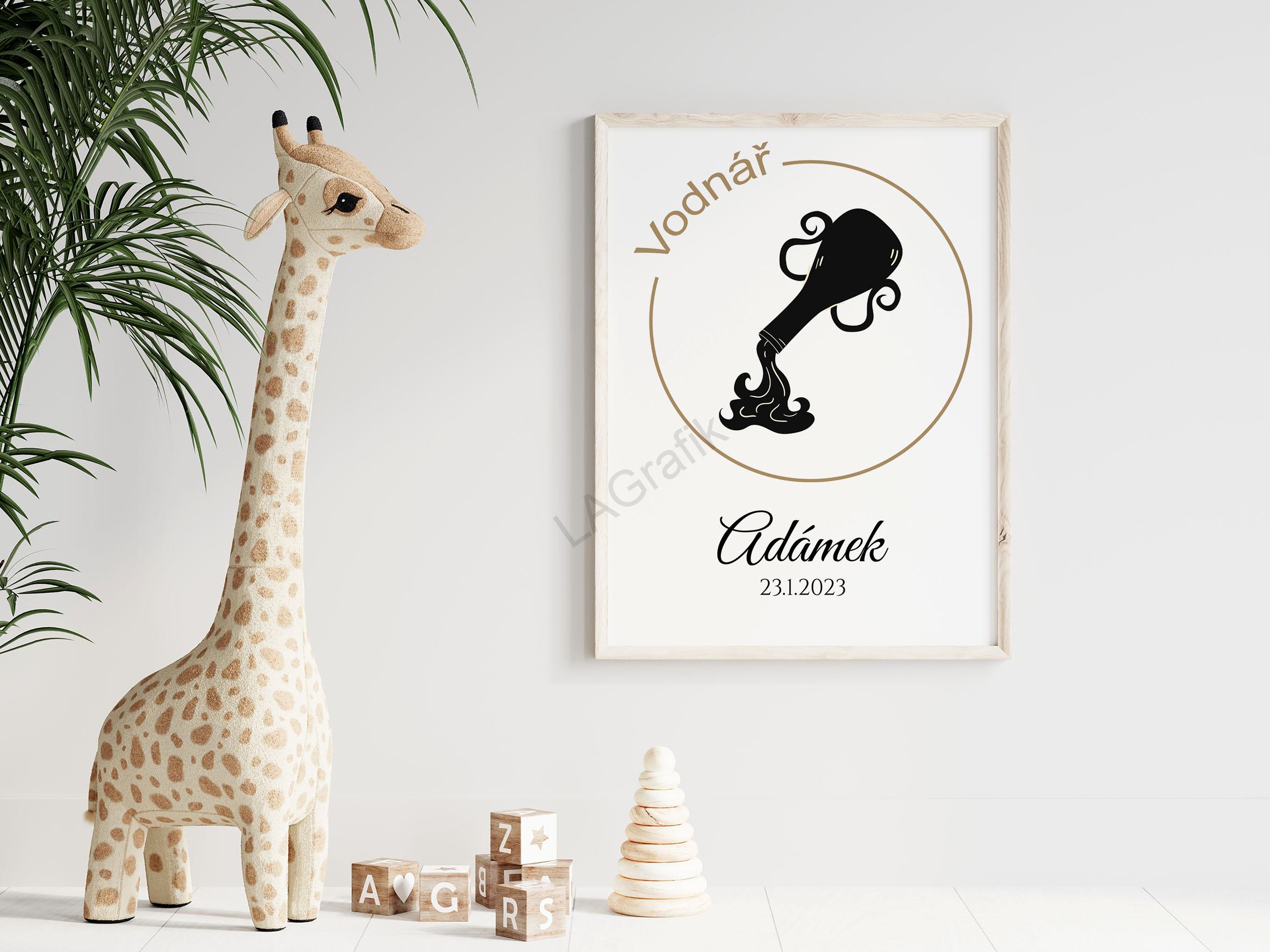 Personifikovaný obraz VODNÁŘ