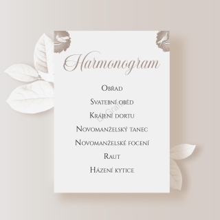 Harmonogram HOLUBICE