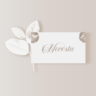 Jmenovka HOLUBICE | Kartička