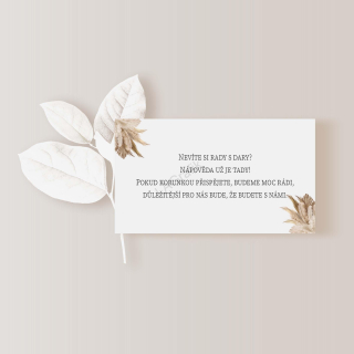 Kartička o darech 10 x 5cm PAMPOVÁ TRÁVA No.1