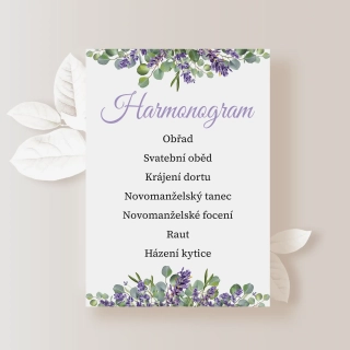 Harmonogram EUCALYPTUS S LEVANDULÍ