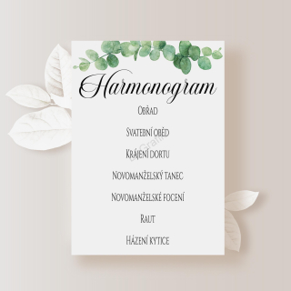 Harmonogram EUCALYPTUS No.1